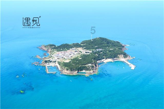 全民烧脑3去广告版